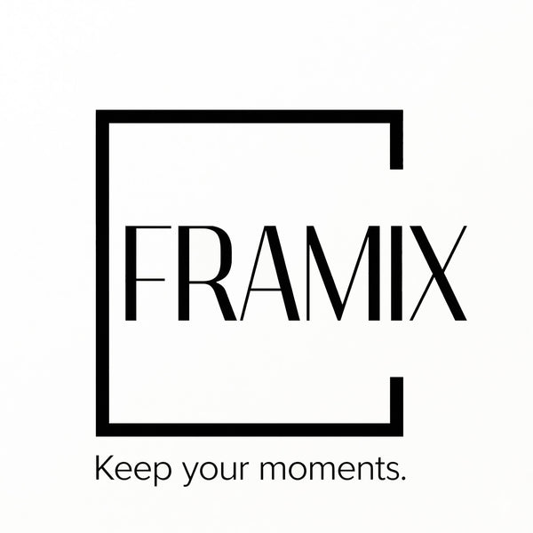 FRAMIX
